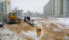 Обманутые дольщики как прикрытие